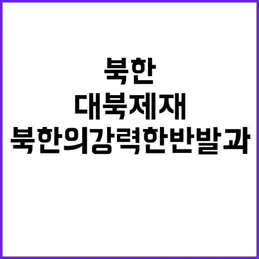 대북제재 북한의 강…