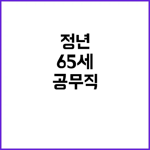 정년 65세 도입 …