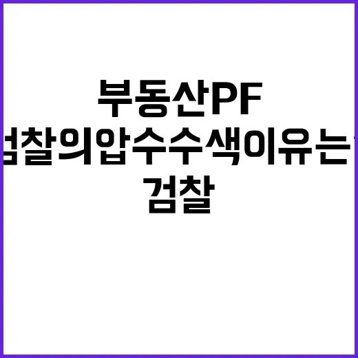 부동산PF 정보 검…