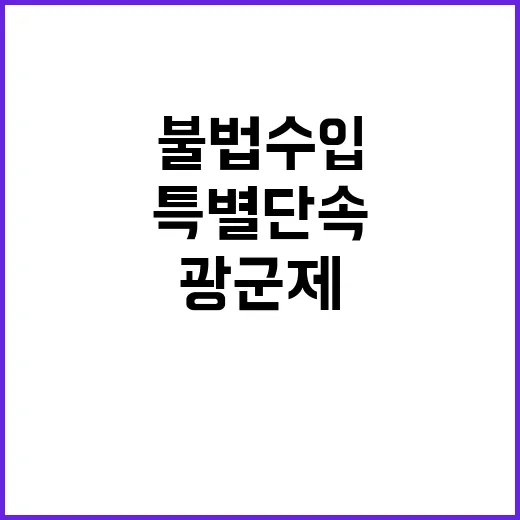 불법 수입 광군제와…