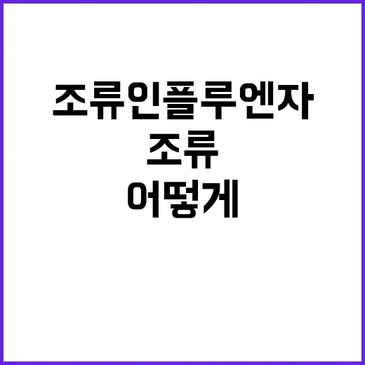 조류인플루엔자 확산…