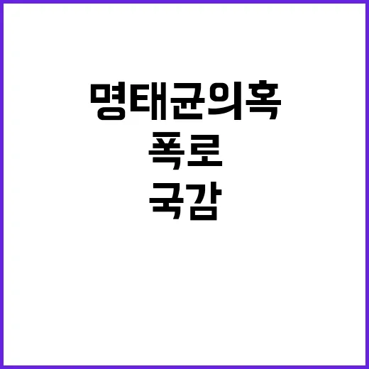 국감 폭로 명태균 …