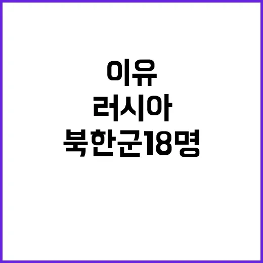 군사용 풍선 북한군…