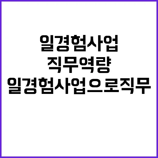 고용부 일경험 사업…