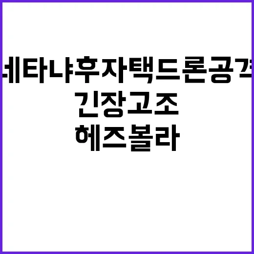 헤즈볼라 네타냐후 …