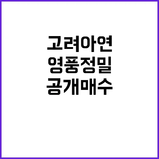 영풍정밀 공개매수 …