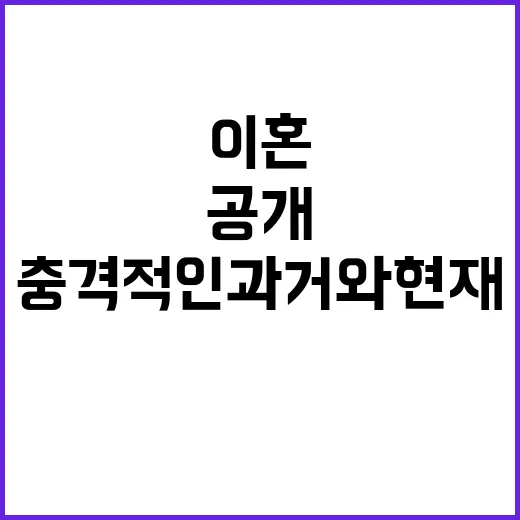 손흥민 국감장 통역…