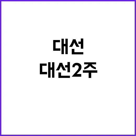 글로벌사우스 집결 …