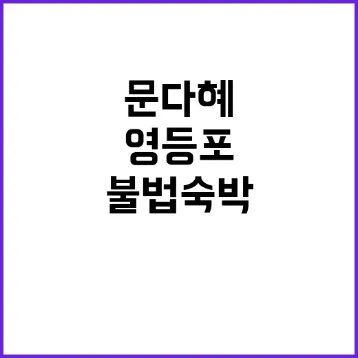 불법숙박 의혹 문다…