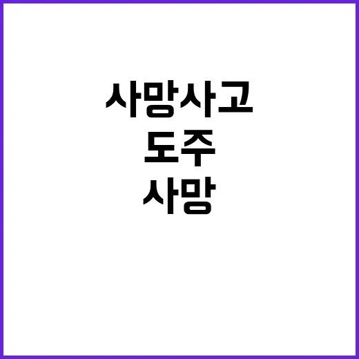 사망사고 유튜브와 …