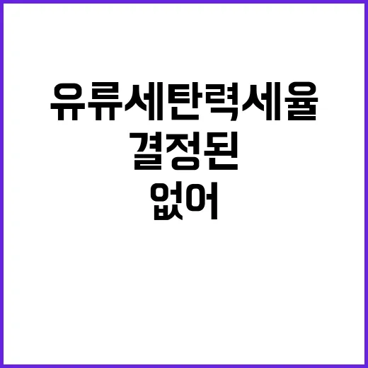 유류세 탄력세율 결…