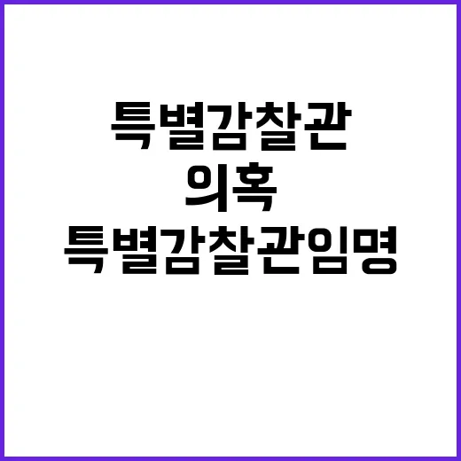 인천공항 유명인 출…