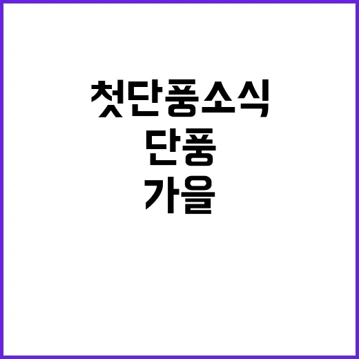 가을 날씨 작년보다…