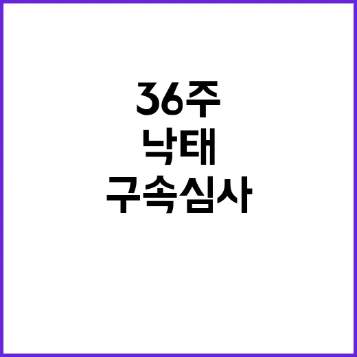 36주 낙태 결과 …