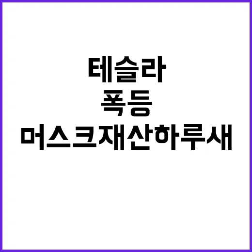 테슬라 폭등 머스크…