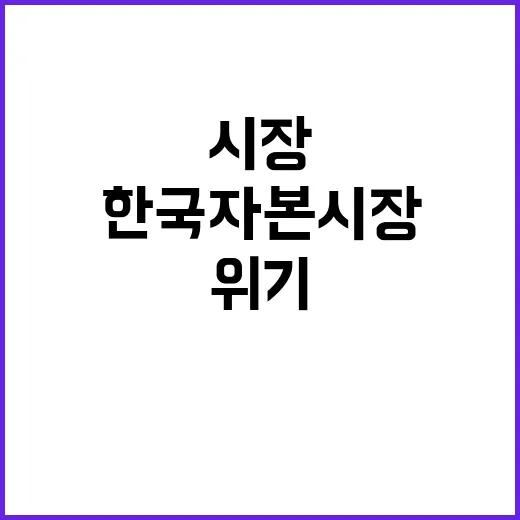 “한국 자본시장 포…