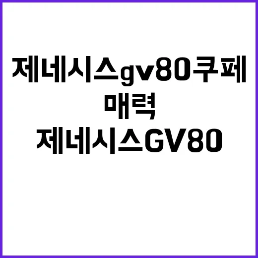 제네시스 GV80 …