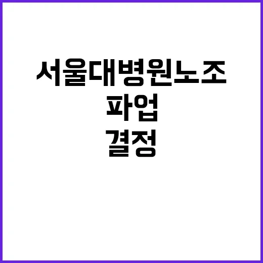 서울대병원 노조 파…