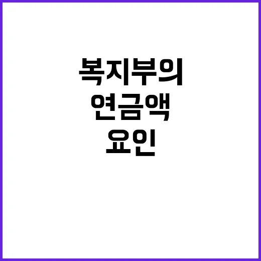 연금액 복지부의 다…