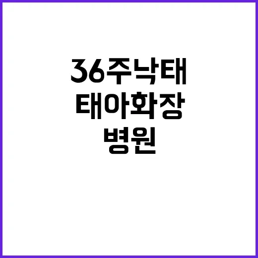 36주 낙태 병원 …