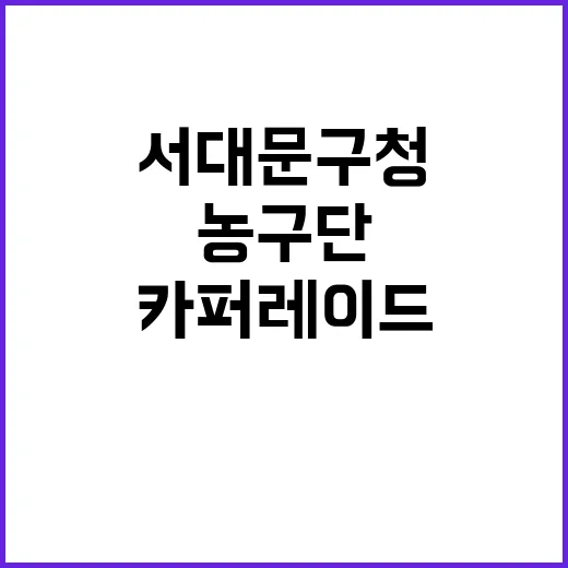 전국체전 우승 서대…