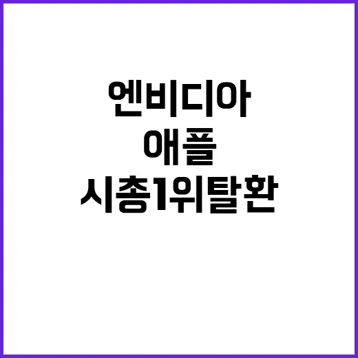 애플 왕좌? 엔비디…