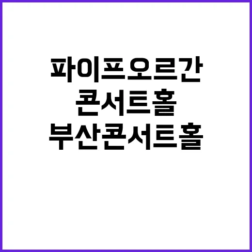 부산콘서트홀 파이프…