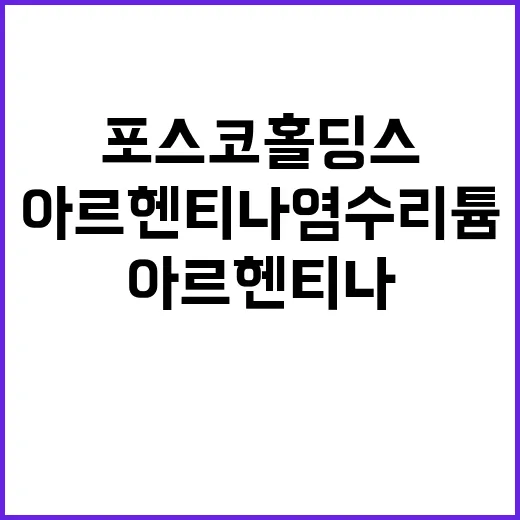 포스코홀딩스 아르헨…