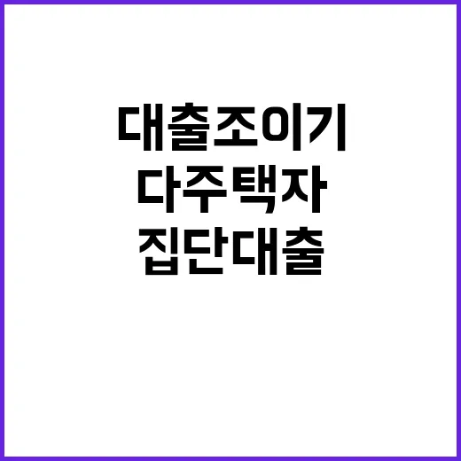 대출조이기 다주택자…