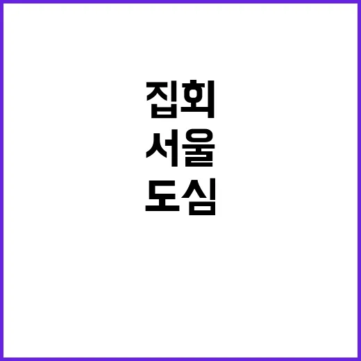 서울 집회… 도심 혼잡과 긴장이 최고조에 이르다!