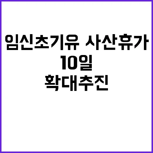 임신 초기 유·사산 휴가 10일로 확대 추진 소식!