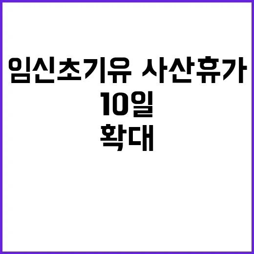 임신 초기 유·사산…