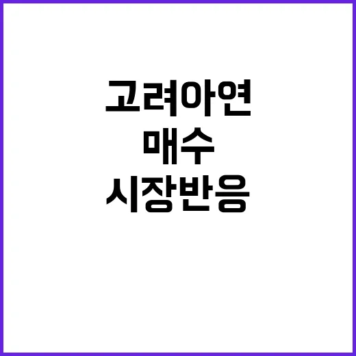 고려아연 자사주 매…