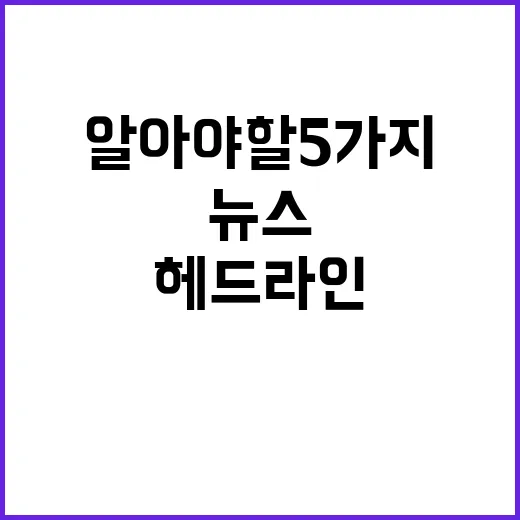 헤드라인 지금 알아야 할 5가지 주요 뉴스!