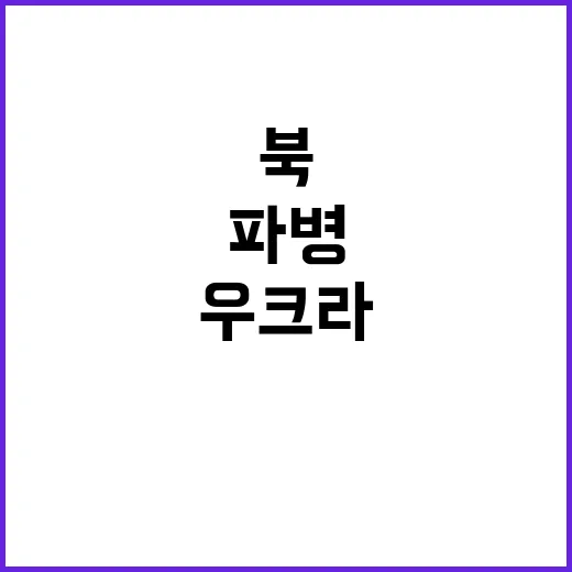 북 폭풍군단 파병……