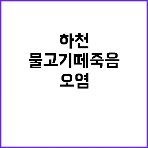 물고기 떼죽음 광주…