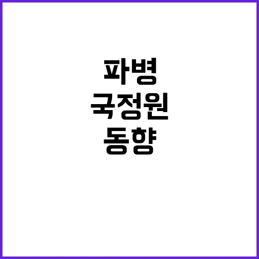 국정원 국감 정보위…