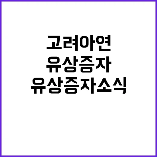 고려아연 대규모 유…