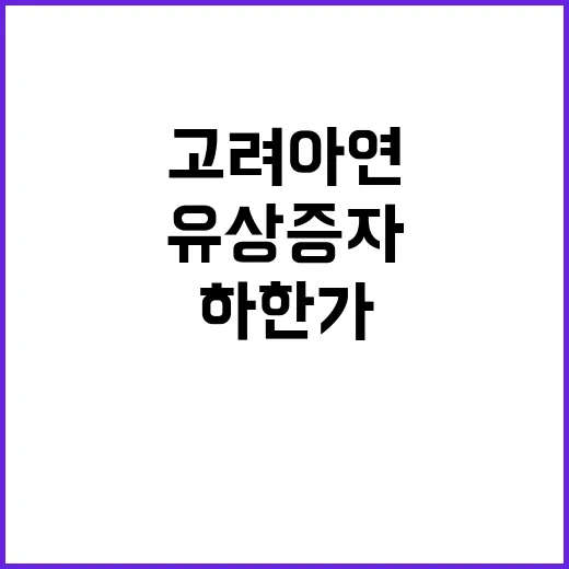 유상증자 고려아연 …