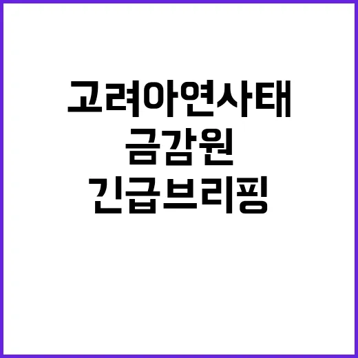 금감원 고려아연 사…