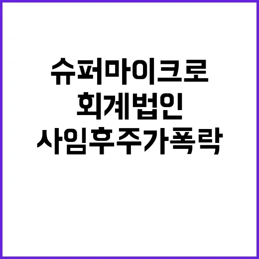 슈퍼마이크로 회계법…