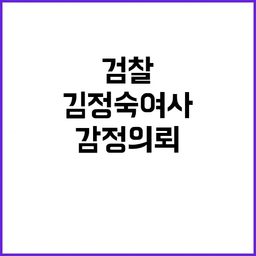 김정숙 여사 고가 의상 검찰 감정 의뢰!