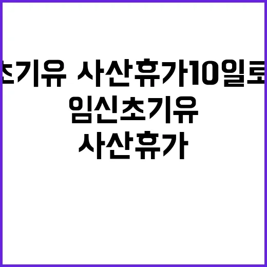 임신초기 유·사산휴…