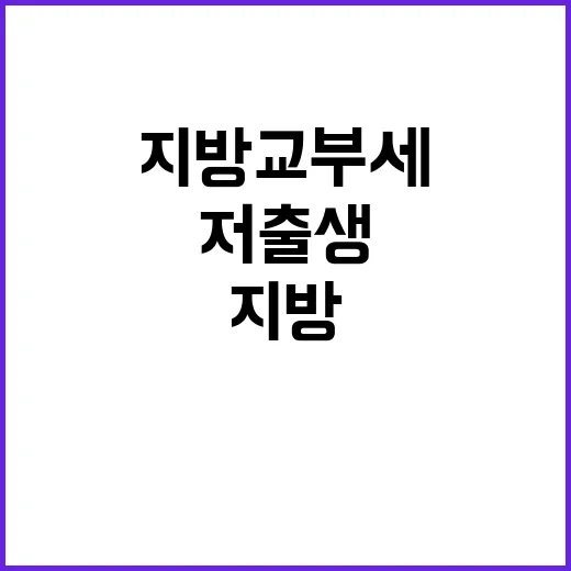 지방교부세 저출생 …