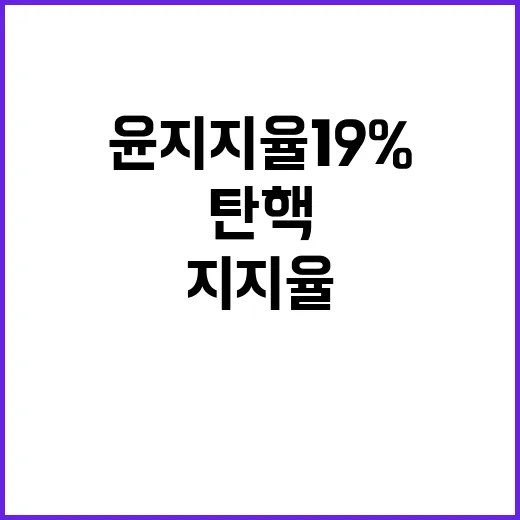 윤 지지율 19% …