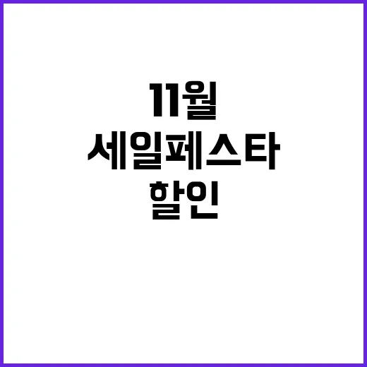 세일페스타 11월 최고의 할인 기회 놓치지 마세요!