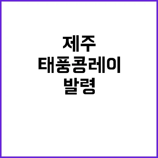 태풍 콩레이 제주 …