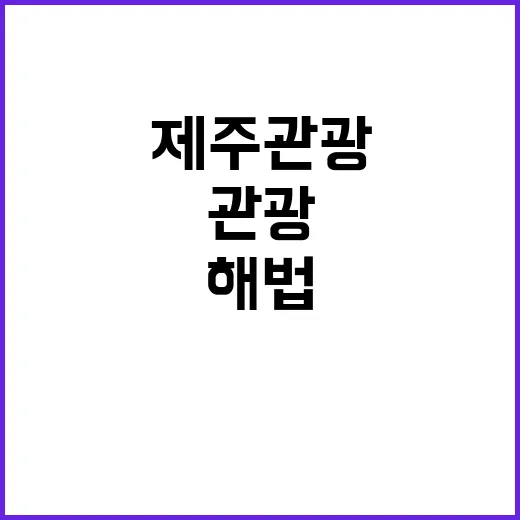 비자 장벽 중국의 …