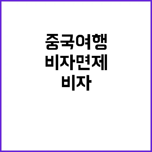 “비자 면제 중국 …