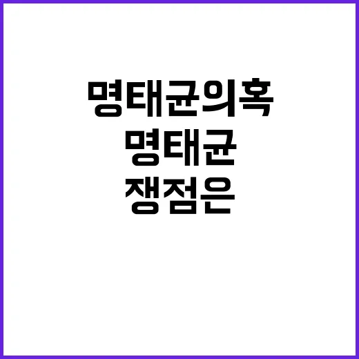 명태균 의혹 핵심 …